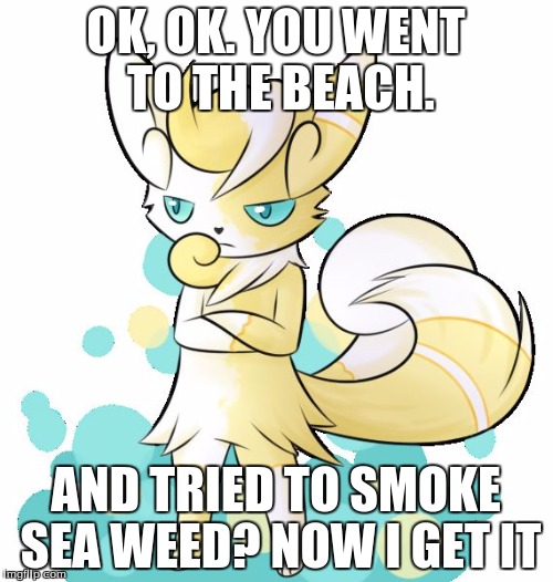 Meowstic grumpy | OK, OK. YOU WENT TO THE BEACH. AND TRIED TO SMOKE SEA WEED? NOW I GET IT | image tagged in meowstic grumpy | made w/ Imgflip meme maker