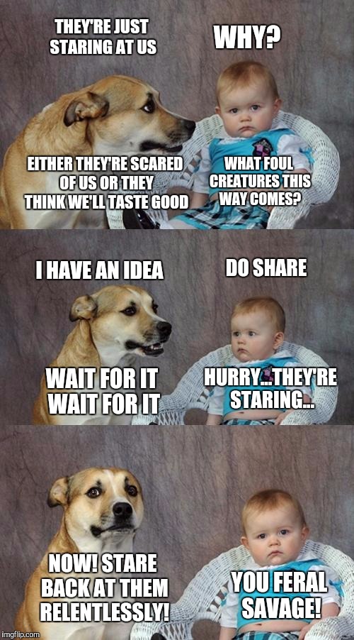 Dad Joke Dog | THEY'RE JUST STARING AT US; WHY? EITHER THEY'RE SCARED OF US OR THEY THINK WE'LL TASTE GOOD; WHAT FOUL CREATURES THIS WAY COMES? DO SHARE; I HAVE AN IDEA; HURRY...THEY'RE STARING... WAIT FOR IT WAIT FOR IT; NOW! STARE BACK AT THEM RELENTLESSLY! YOU FERAL SAVAGE! | image tagged in memes,dad joke dog | made w/ Imgflip meme maker