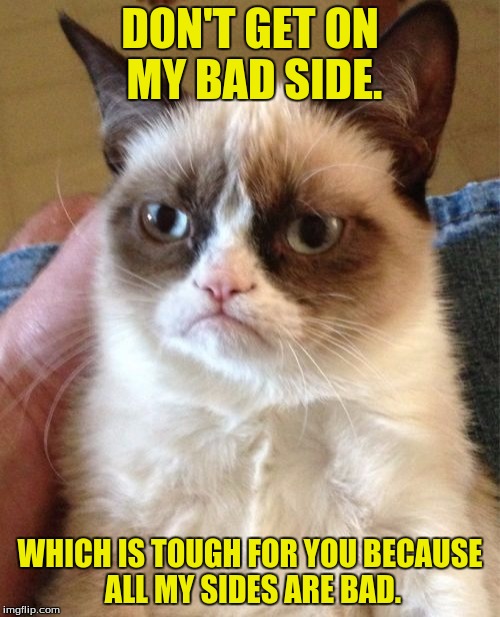 Pokey doodle | DON'T GET ON MY BAD SIDE. WHICH IS TOUGH FOR YOU BECAUSE ALL MY SIDES ARE BAD. | image tagged in memes,grumpy cat,side,bad,funny memes | made w/ Imgflip meme maker