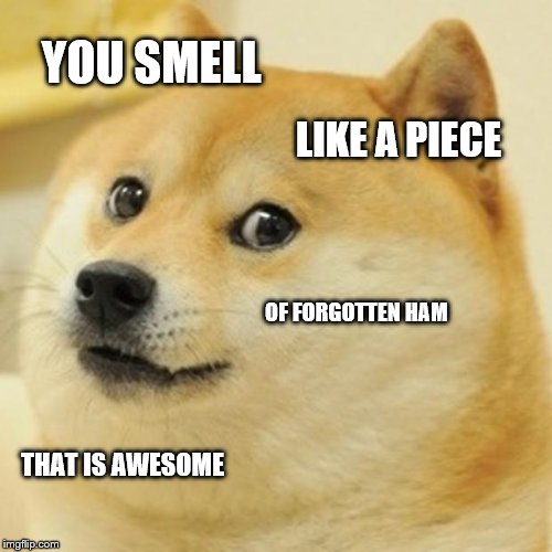 Doge | YOU SMELL; LIKE A PIECE; OF FORGOTTEN HAM; THAT IS AWESOME | image tagged in memes,doge | made w/ Imgflip meme maker