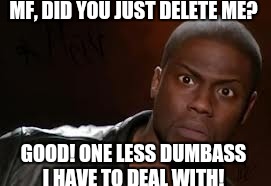 Kevin Hart Meme | MF, DID YOU JUST DELETE ME? GOOD! ONE LESS DUMBASS I HAVE TO DEAL WITH! | image tagged in memes,kevin hart the hell | made w/ Imgflip meme maker