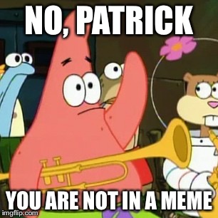 No Patrick | NO, PATRICK; YOU ARE NOT IN A MEME | image tagged in memes,no patrick | made w/ Imgflip meme maker
