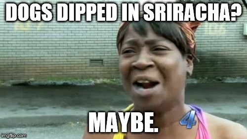 Ain't Nobody Got Time For That Meme | DOGS DIPPED IN SRIRACHA? MAYBE. | image tagged in memes,aint nobody got time for that | made w/ Imgflip meme maker