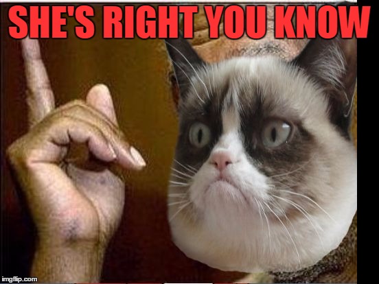 Grumpy Cat He's Right You Know | SHE'S RIGHT YOU KNOW | image tagged in grumpy cat he's right you know | made w/ Imgflip meme maker