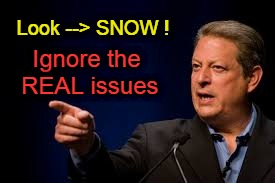 Al Gore deflecting | Look --> SNOW ! Ignore the REAL issues | image tagged in al gore,snow | made w/ Imgflip meme maker