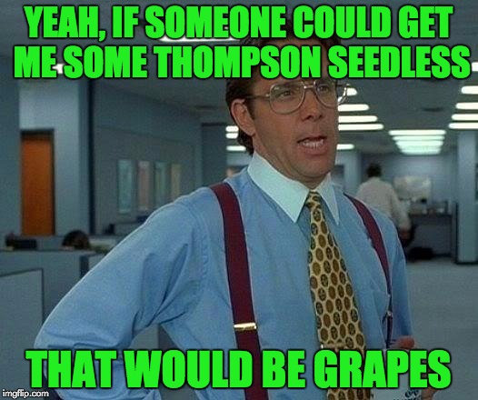 Do you have any gwapes? | YEAH, IF SOMEONE COULD GET ME SOME THOMPSON SEEDLESS; THAT WOULD BE GRAPES | image tagged in memes,that would be great,dumb meme weekend | made w/ Imgflip meme maker