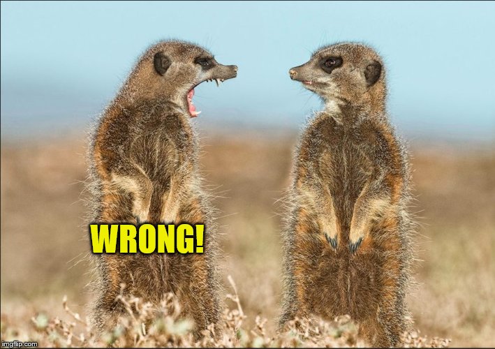 Wildlife comedy | WRONG! | image tagged in wildlife comedy | made w/ Imgflip meme maker