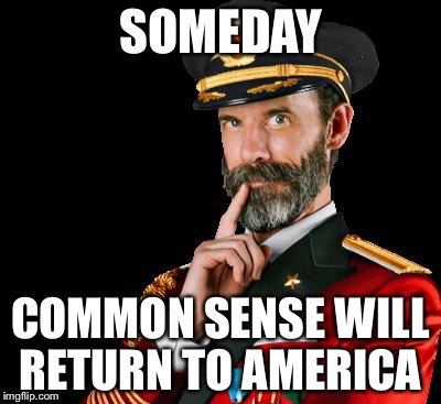 captain obvious | SOMEDAY; COMMON SENSE WILL RETURN TO AMERICA | image tagged in captain obvious | made w/ Imgflip meme maker