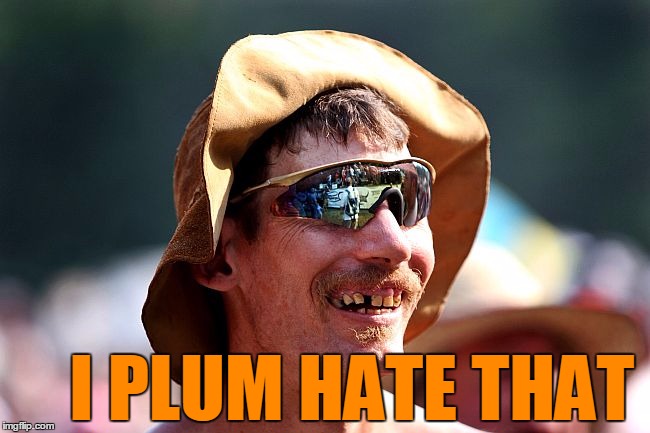 I PLUM HATE THAT | image tagged in redneck | made w/ Imgflip meme maker