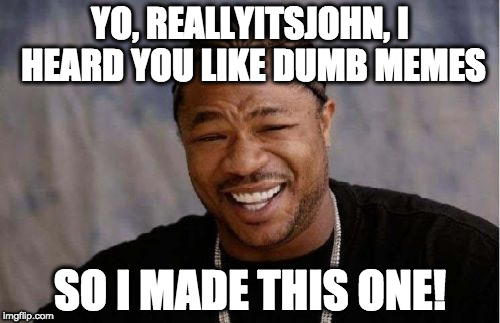 Yo Dawg Heard You | YO, REALLYITSJOHN, I HEARD YOU LIKE DUMB MEMES; SO I MADE THIS ONE! | image tagged in memes,yo dawg heard you | made w/ Imgflip meme maker