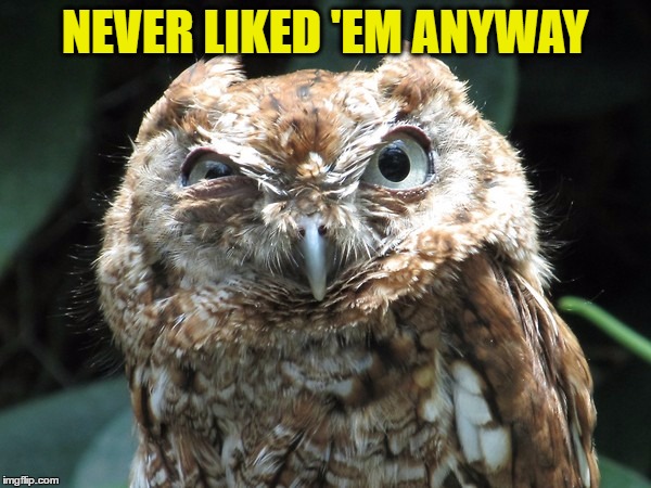 NEVER LIKED 'EM ANYWAY | image tagged in ornery owl | made w/ Imgflip meme maker