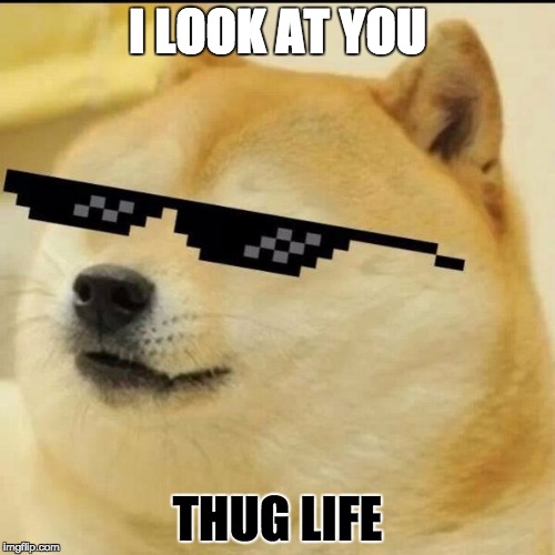 Sunglass Doge | I LOOK AT YOU; THUG LIFE | image tagged in sunglass doge | made w/ Imgflip meme maker