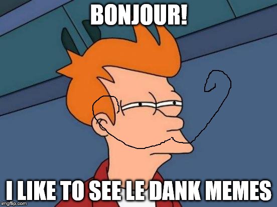 Futurama Fry Meme | BONJOUR! I LIKE TO SEE LE DANK MEMES | image tagged in memes,futurama fry | made w/ Imgflip meme maker