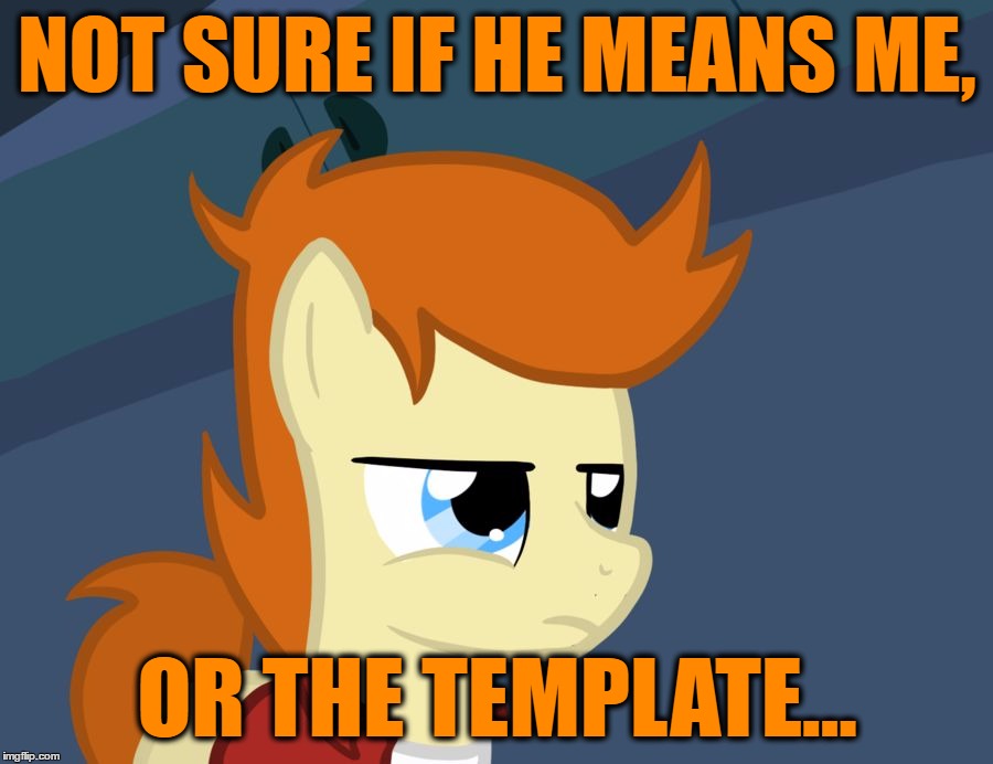 Futurama Fry Pony | NOT SURE IF HE MEANS ME, OR THE TEMPLATE... | image tagged in futurama fry pony | made w/ Imgflip meme maker