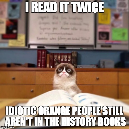 Grumpy Cat Reading | I READ IT TWICE; IDIOTIC ORANGE PEOPLE STILL AREN'T IN THE HISTORY BOOKS | image tagged in grumpy cat reading | made w/ Imgflip meme maker