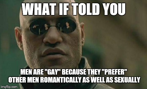 Matrix Morpheus Meme | WHAT IF TOLD YOU MEN ARE "GAY" BECAUSE THEY "PREFER" OTHER MEN ROMANTICALLY AS WELL AS SEXUALLY | image tagged in memes,matrix morpheus | made w/ Imgflip meme maker