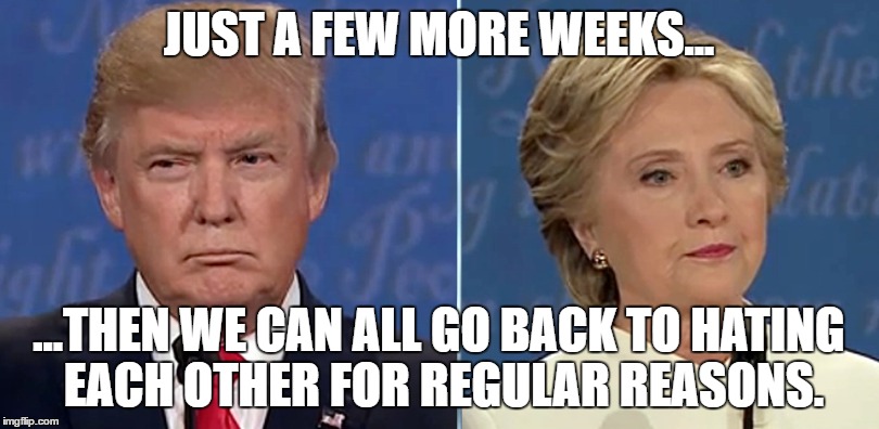 Just a few More Weeks | JUST A FEW MORE WEEKS... ...THEN WE CAN ALL GO BACK TO HATING EACH OTHER FOR REGULAR REASONS. | image tagged in hillary clinton 2016,donald trump | made w/ Imgflip meme maker