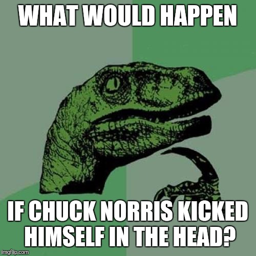 Philosoraptor | WHAT WOULD HAPPEN; IF CHUCK NORRIS KICKED HIMSELF IN THE HEAD? | image tagged in memes,philosoraptor,chuck norris | made w/ Imgflip meme maker