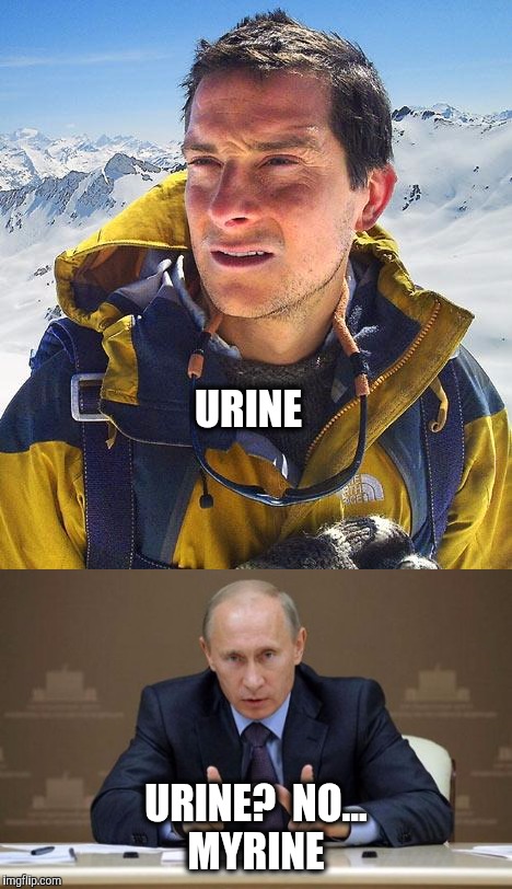 Bear Grylls meets the Russian Bear | URINE; URINE?  NO... MYRINE | image tagged in bear grylls,urine,piss,putin | made w/ Imgflip meme maker