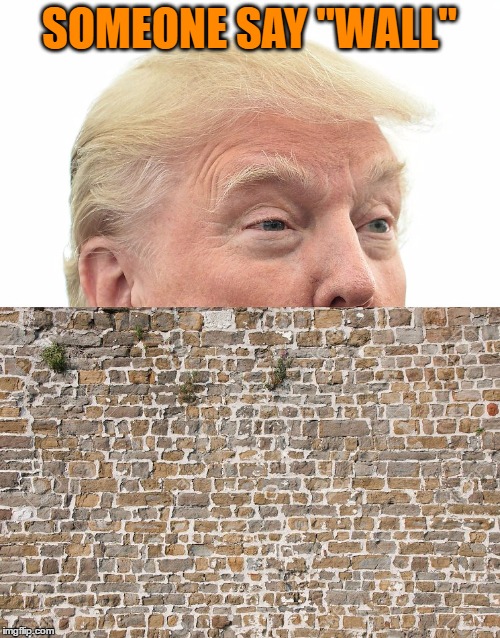 SOMEONE SAY "WALL" | made w/ Imgflip meme maker