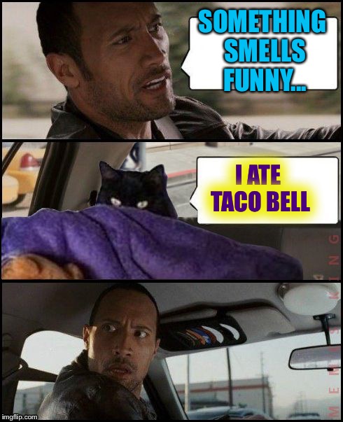 The Rock Driving Evil Cat | SOMETHING SMELLS FUNNY... I ATE TACO BELL | image tagged in the rock driving evil cat | made w/ Imgflip meme maker