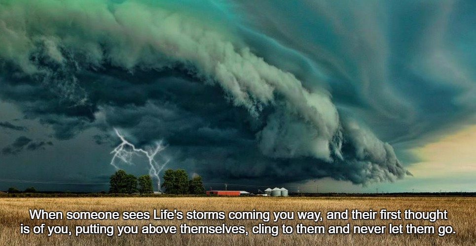 They Love You | When someone sees Life's storms coming you way, and their first thought is of you, putting you above themselves, cling to them and never let them go. | image tagged in walking towards storms makes us fighters  surviving it makes us | made w/ Imgflip meme maker