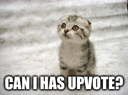 sad cat | CAN I HAS UPVOTE? | image tagged in sad cat | made w/ Imgflip meme maker