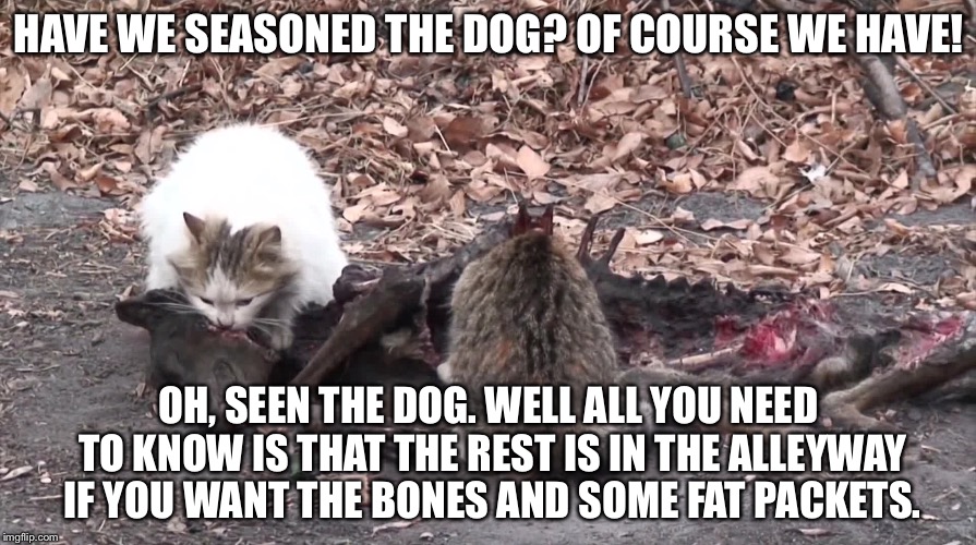 HAVE WE SEASONED THE DOG? OF COURSE WE HAVE! OH, SEEN THE DOG. WELL ALL YOU NEED TO KNOW IS THAT THE REST IS IN THE ALLEYWAY IF YOU WANT THE BONES AND SOME FAT PACKETS. | image tagged in memes,corny joke | made w/ Imgflip meme maker
