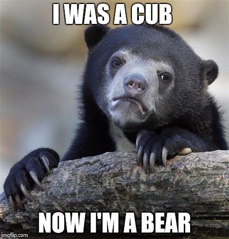 Confession Bear Meme | I WAS A CUB NOW I'M A BEAR | image tagged in memes,confession bear | made w/ Imgflip meme maker