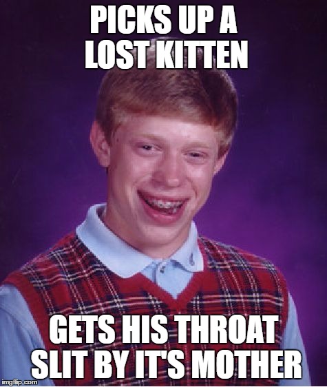 Bad Luck Brian | PICKS UP A LOST KITTEN; GETS HIS THROAT SLIT BY IT'S MOTHER | image tagged in memes,bad luck brian | made w/ Imgflip meme maker
