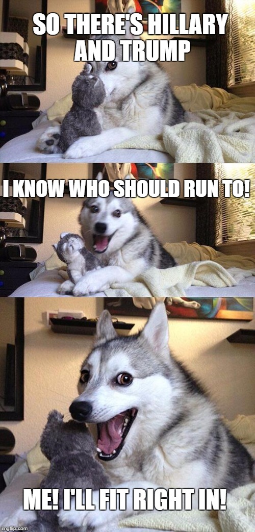 Bad Pun Dog | SO THERE'S HILLARY AND TRUMP; I KNOW WHO SHOULD RUN TO! ME! I'LL FIT RIGHT IN! | image tagged in memes,bad pun dog | made w/ Imgflip meme maker