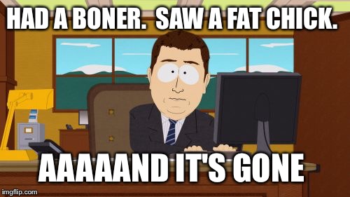 Aaaaand Its Gone | HAD A BONER.  SAW A FAT CHICK. AAAAAND IT'S GONE | image tagged in memes,aaaaand its gone | made w/ Imgflip meme maker
