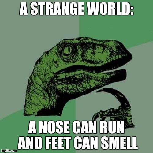 Philosoraptor | A STRANGE WORLD:; A NOSE CAN RUN AND FEET CAN SMELL | image tagged in memes,philosoraptor | made w/ Imgflip meme maker