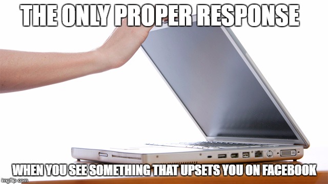 that pisses me off! | THE ONLY PROPER RESPONSE; WHEN YOU SEE SOMETHING THAT UPSETS YOU ON FACEBOOK | image tagged in facebook,cyberbully,mad | made w/ Imgflip meme maker