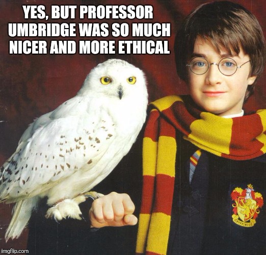 YES, BUT PROFESSOR UMBRIDGE WAS SO MUCH NICER AND MORE ETHICAL | made w/ Imgflip meme maker