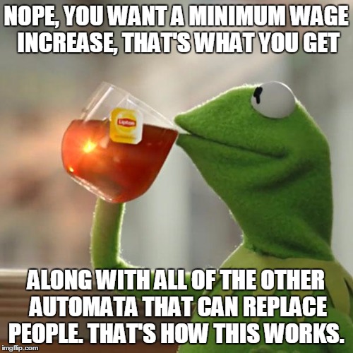 But That's None Of My Business Meme | NOPE, YOU WANT A MINIMUM WAGE INCREASE, THAT'S WHAT YOU GET ALONG WITH ALL OF THE OTHER AUTOMATA THAT CAN REPLACE PEOPLE. THAT'S HOW THIS WO | image tagged in memes,but thats none of my business,kermit the frog | made w/ Imgflip meme maker