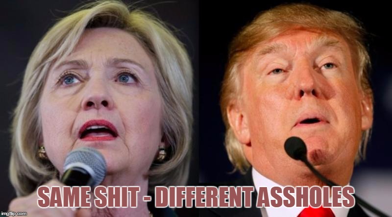 Hillary Clinton & Donald Trump | SAME SHIT - DIFFERENT ASSHOLES | image tagged in hillary clinton  donald trump | made w/ Imgflip meme maker