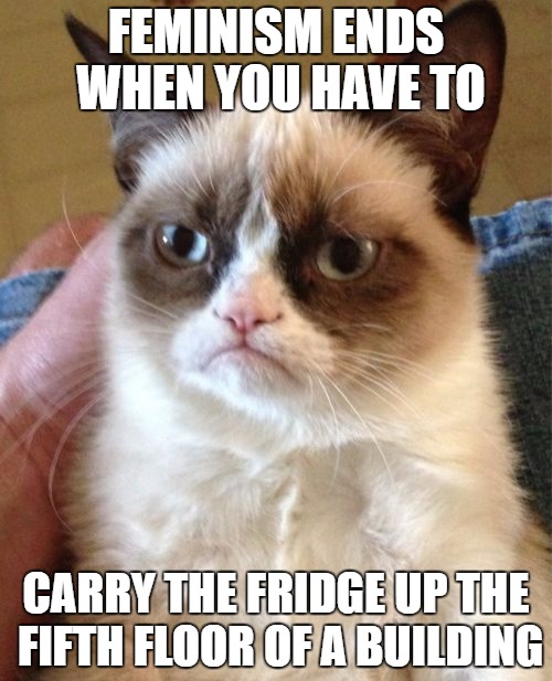 Grumpy Cat | FEMINISM ENDS WHEN YOU HAVE TO; CARRY THE FRIDGE UP THE FIFTH FLOOR OF A BUILDING | image tagged in memes,grumpy cat,feminism | made w/ Imgflip meme maker