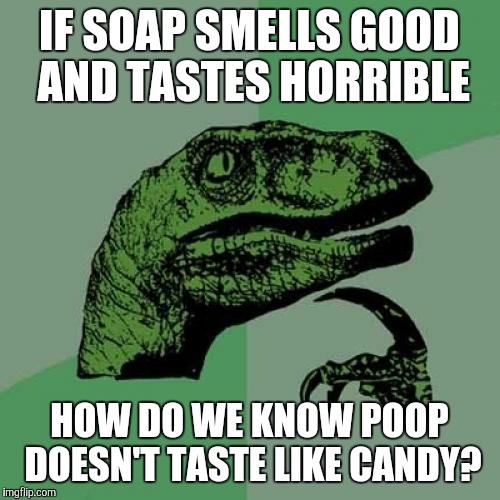 Philosoraptor | IF SOAP SMELLS GOOD AND TASTES HORRIBLE; HOW DO WE KNOW POOP DOESN'T TASTE LIKE CANDY? | image tagged in memes,philosoraptor | made w/ Imgflip meme maker