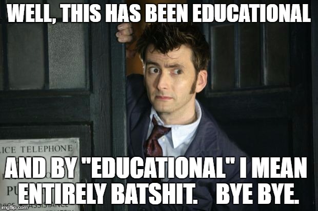 David Tenant Doctor Who Thanks Obama | WELL, THIS HAS BEEN EDUCATIONAL; AND BY "EDUCATIONAL" I MEAN ENTIRELY BATSHIT.    BYE BYE. | image tagged in david tenant doctor who thanks obama | made w/ Imgflip meme maker