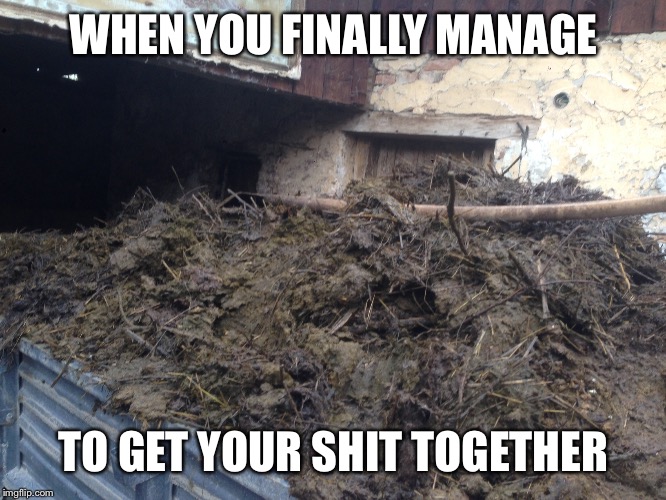 Deep shit | WHEN YOU FINALLY MANAGE; TO GET YOUR SHIT TOGETHER | image tagged in life,shit | made w/ Imgflip meme maker