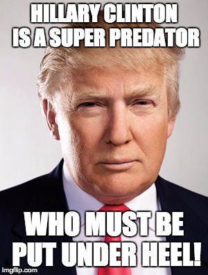 Donald Trump | HILLARY CLINTON IS A SUPER PREDATOR; WHO MUST BE PUT UNDER HEEL! | image tagged in donald trump | made w/ Imgflip meme maker
