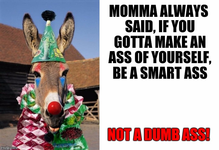 MOMMA ALWAYS SAID, IF YOU GOTTA MAKE AN ASS OF YOURSELF, BE A SMART ASS NOT A DUMB ASS! | made w/ Imgflip meme maker