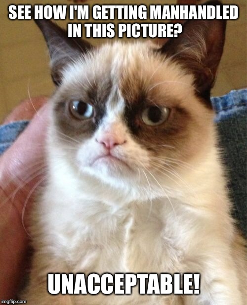 Grumpy Cat Meme | SEE HOW I'M GETTING MANHANDLED IN THIS PICTURE? UNACCEPTABLE! | image tagged in memes,grumpy cat | made w/ Imgflip meme maker