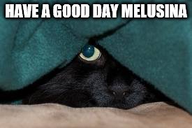 HAVE A GOOD DAY MELUSINA | made w/ Imgflip meme maker