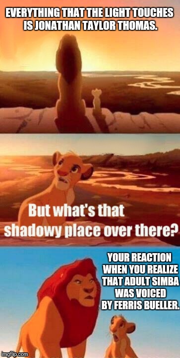 Simba Shadowy Place | EVERYTHING THAT THE LIGHT TOUCHES IS JONATHAN TAYLOR THOMAS. YOUR REACTION WHEN YOU REALIZE THAT ADULT SIMBA WAS VOICED BY FERRIS BUELLER. | image tagged in memes,simba shadowy place | made w/ Imgflip meme maker