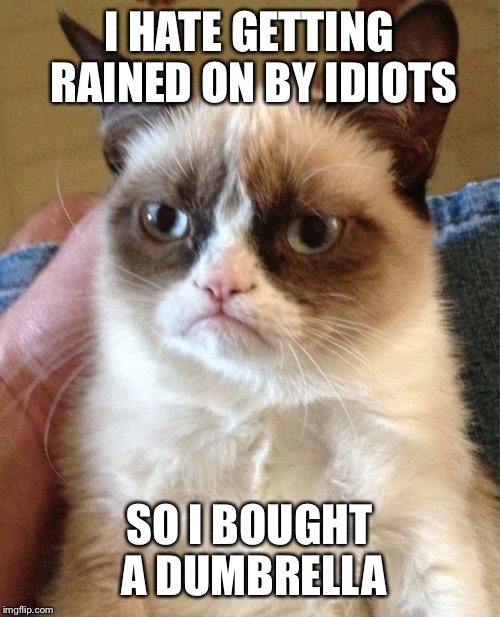 Raising dumb for charity .. Good cause .. reallyitsjohn's dumb meme week! https://imgflip.com/i/1cpvxx | I HATE GETTING RAINED ON BY IDIOTS; SO I BOUGHT A DUMBRELLA | image tagged in memes,grumpy cat,dumb meme,reallyitsjohn,dumb meme week,dumb meme weekend | made w/ Imgflip meme maker