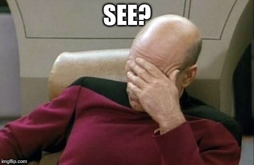 Captain Picard Facepalm Meme | SEE? | image tagged in memes,captain picard facepalm | made w/ Imgflip meme maker