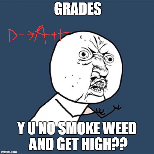 Y U No Meme | GRADES; Y U NO SMOKE WEED AND GET HIGH?? | image tagged in memes,y u no | made w/ Imgflip meme maker