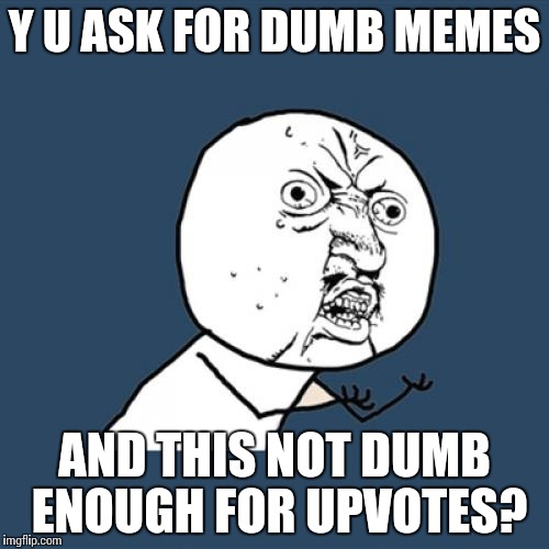 Y U No Meme | Y U ASK FOR DUMB MEMES AND THIS NOT DUMB ENOUGH FOR UPVOTES? | image tagged in memes,y u no | made w/ Imgflip meme maker
